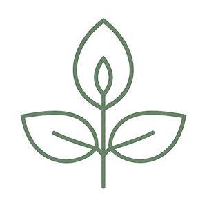 remedy-servises-logo