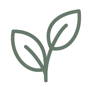 remedy-logo